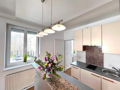 Mietwohnung in 2340 Mödling