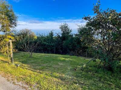 Grundstück kaufen in 8010 Graz