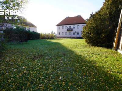 Terrassenwohnung kaufen in 2225 Zistersdorf (Bild 5)