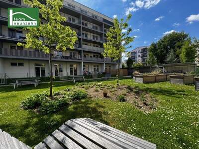 Terrassenwohnung mieten in 8020 Graz (Bild 1)