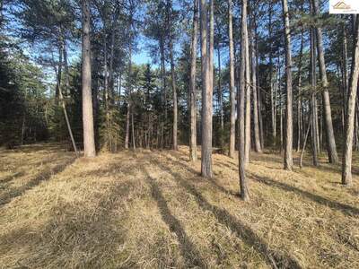 Anlageobjekt kaufen in 2620 Mollram