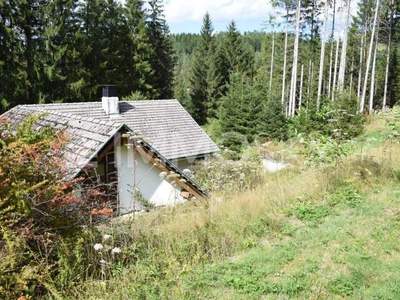 Haus kaufen in 4274 Schönau