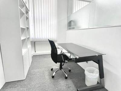 Gewerbeobjekt mieten in 1090 Wien (Bild 3)