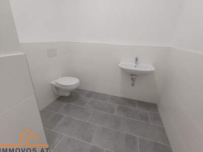 Gewerbeobjekt mieten in 1220 Wien 22. (Bild 4)