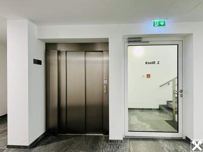 Anlageobjekt kaufen in 2700 Wiener Neustadt (Bild 4)