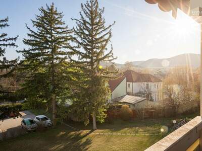 Apartment kaufen in 2500 Niederösterreich