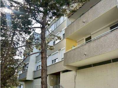 Terrassenwohnung kaufen in 2540 Bad Vöslau (Bild 2)