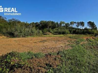 Grundstück kaufen in 7503 Großpetersdorf
