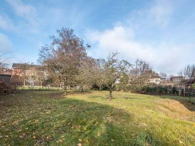 Haus mit Garten kaufen in 4020 Linz (Bild 4)