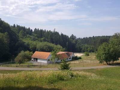 Haus provisionsfrei kaufen in 7572 Deutsch Kaltenbrunn