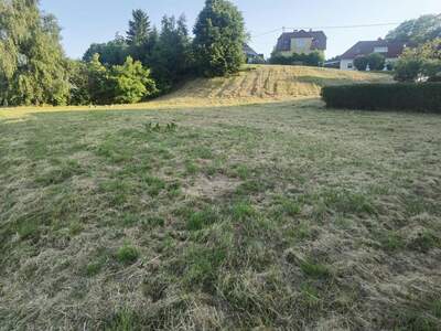 Grundstück kaufen in 7425 Wiesfleck (Bild 4)