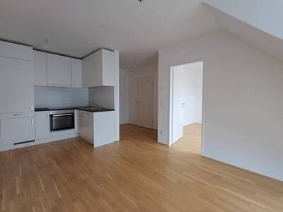 Wohnung mieten in 1220 Wien