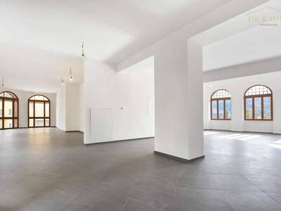 Gewerbeobjekt kaufen in 9872 Millstatt
