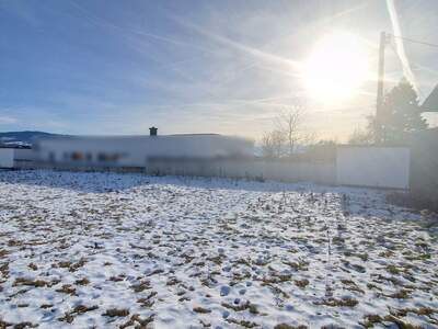 Haus mit Garten kaufen in 4400 Steyr (Bild 5)