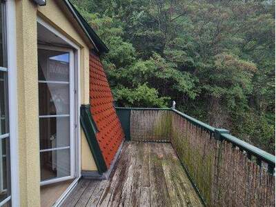 Terrassenwohnung mieten in 2823 Pitten (Bild 5)