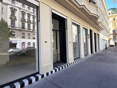 Gewerbeobjekt mieten in 1090 Wien (Bild 1)