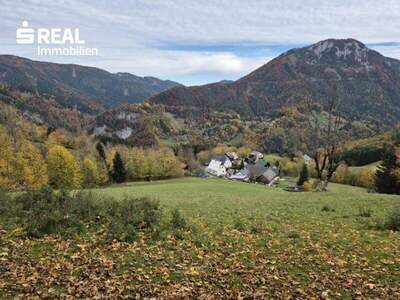 Grundstück kaufen in 3295 Lackenhof (Bild 4)