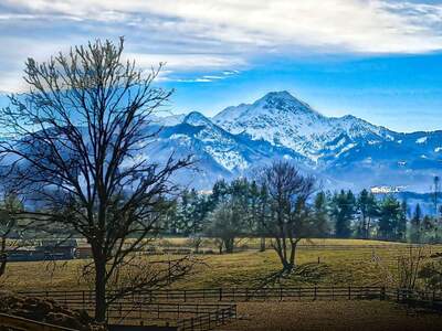 Grundstück kaufen in 9241 Wernberg (Bild 1)