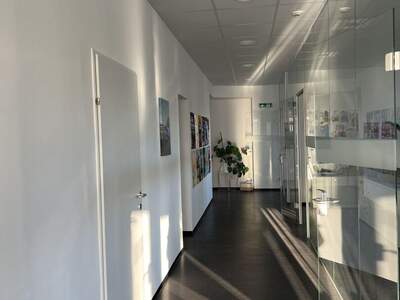 Gewerbeobjekt mieten in 4060 Leonding (Bild 4)
