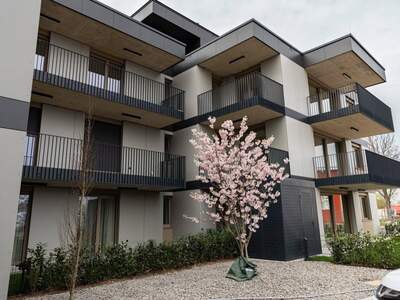 Wohnung kaufen in 2481 Achau