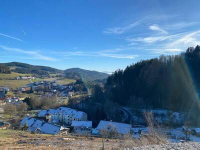 Grundstück kaufen in 4204 Reichenau