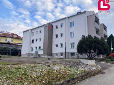 Mietwohnung in 4223 Katsdorf (Bild 2)