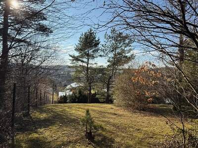 Grundstück kaufen in 2384 Breitenfurt