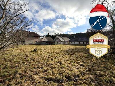 Haus kaufen in 3531 Niedernondorf (Bild 4)