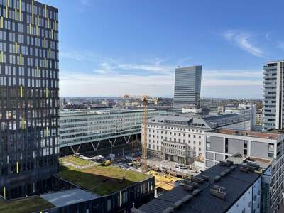 Wohnung mit Balkon mieten in 4020 Linz (Bild 1)