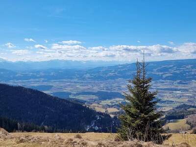 Grundstück kaufen in 9400 Wolfsberg