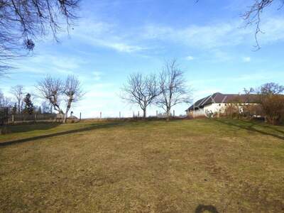 Grundstück kaufen in 4600 Wels (Bild 5)