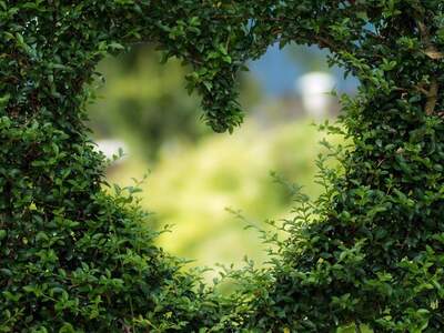 Wohnung mieten in 8444 Sankt Andrä