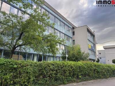 Gewerbeobjekt mieten in 4020 Linz (Bild 3)