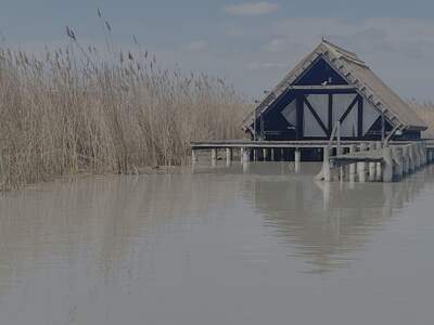 Haus kaufen in 7071 Rust (Bild 2)