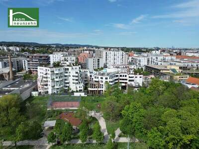 Terrassenwohnung mieten in 1230 Wien (Bild 1)