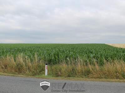 Grundstück kaufen in 2011 Sierndorf (Bild 1)