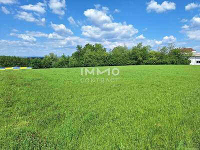 Gewerbeobjekt kaufen in 3311 Zeillern