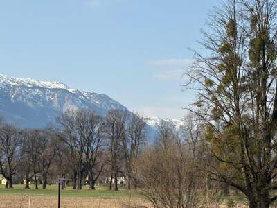 Grundstück kaufen in 5020 Salzburg (Bild 1)