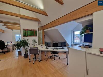 Gewerbeobjekt mieten in 8042 Graz (Bild 4)