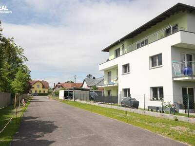 Anlageobjekt kaufen in 3425 Langenlebarn (Bild 3)