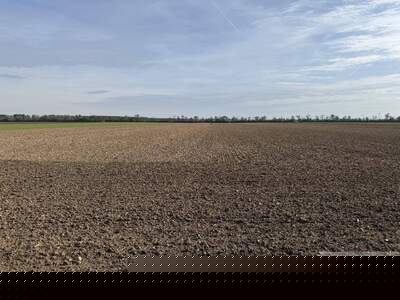 Anlageobjekt kaufen in 2232 Deutsch Wagram