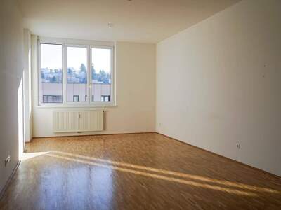 Wohnung mieten in 8010 Graz