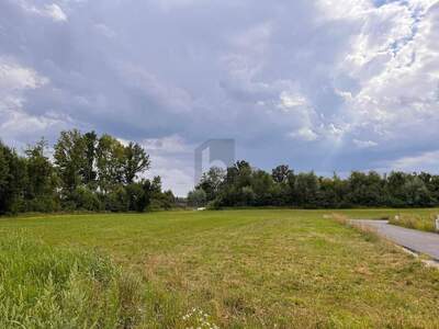Grundstück kaufen in 4775 Taufkirchen