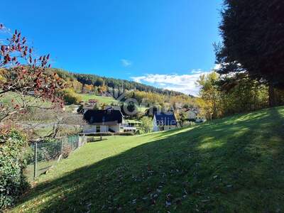 Haus kaufen in 8570 Voitsberg (Bild 5)