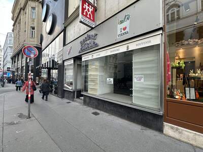 Gewerbeobjekt mieten in 1010 Wien (Bild 1)