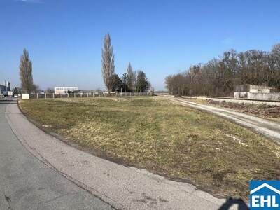 Lager kaufen in 2433 Margarethen (Bild 4)