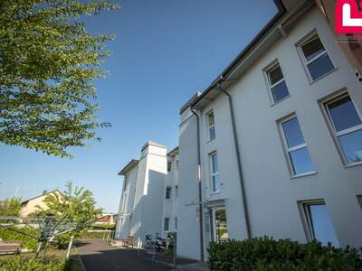 Mietwohnung in 4050 Traun (Bild 4)