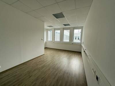 Büro / Praxis mieten in 2351 Wr. Neudorf (Bild 4)