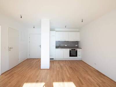 Wohnung kaufen in 1220 Wien