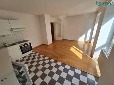 Wohnung mieten in 1060 Wien (Bild 3)